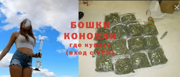 сатива Магас