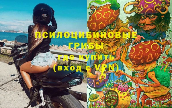 сатива Магас
