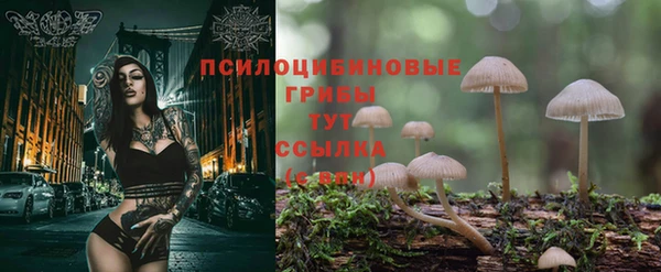 кокаин колумбия Майский