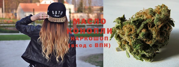 сатива Магас