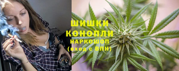 сатива Магас