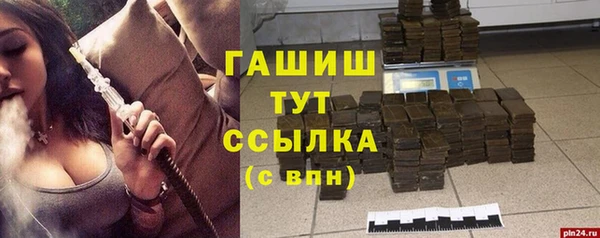 сатива Магас