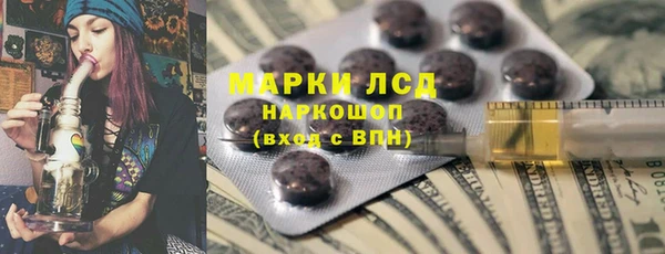 сатива Магас