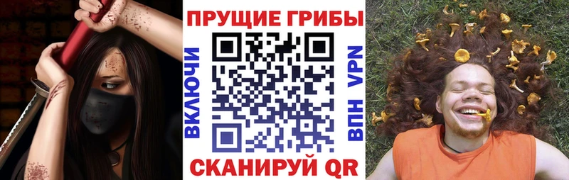 Галлюциногенные грибы Psilocybe  Скопин 